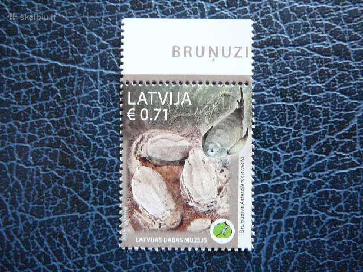 Latvija 2015 Zuvys Muziejus Mnh llt939