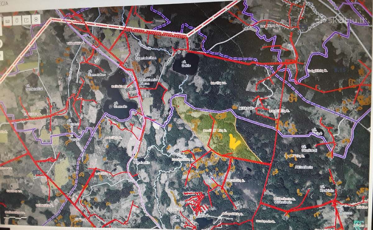 3,9835 ha žemės ūkio paskirties sklypas Trakų raj. - nuotraukos Nr. 7