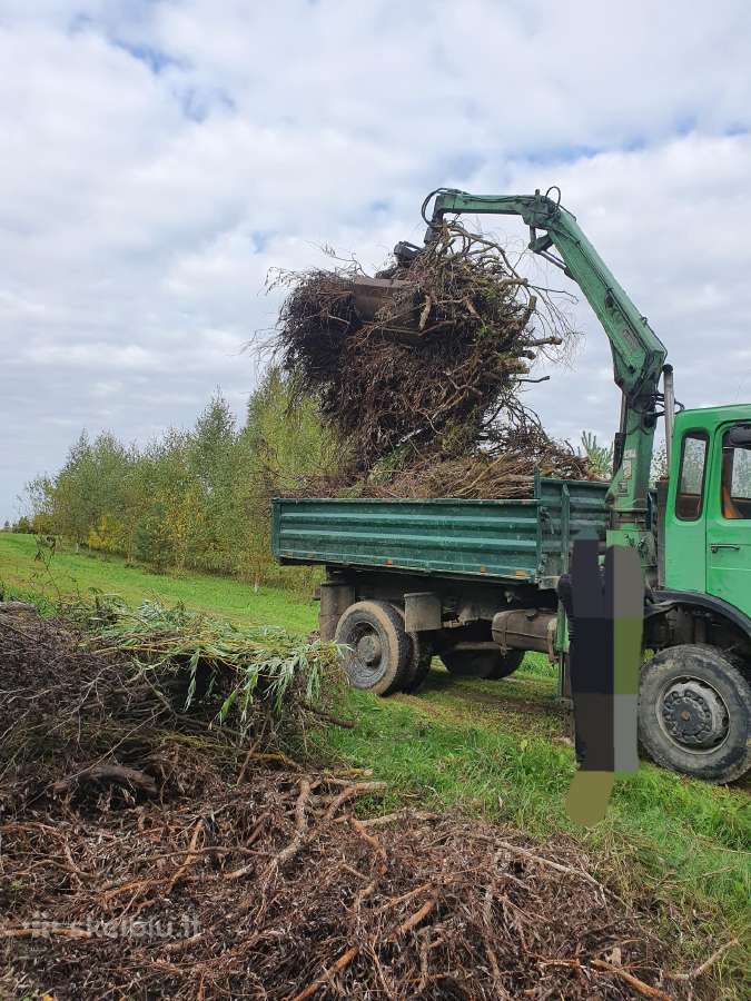 Sklypu Tvarkymas, šakų Išvežimas,krūmų pjvm.24/7 - nuotraukos Nr. 20