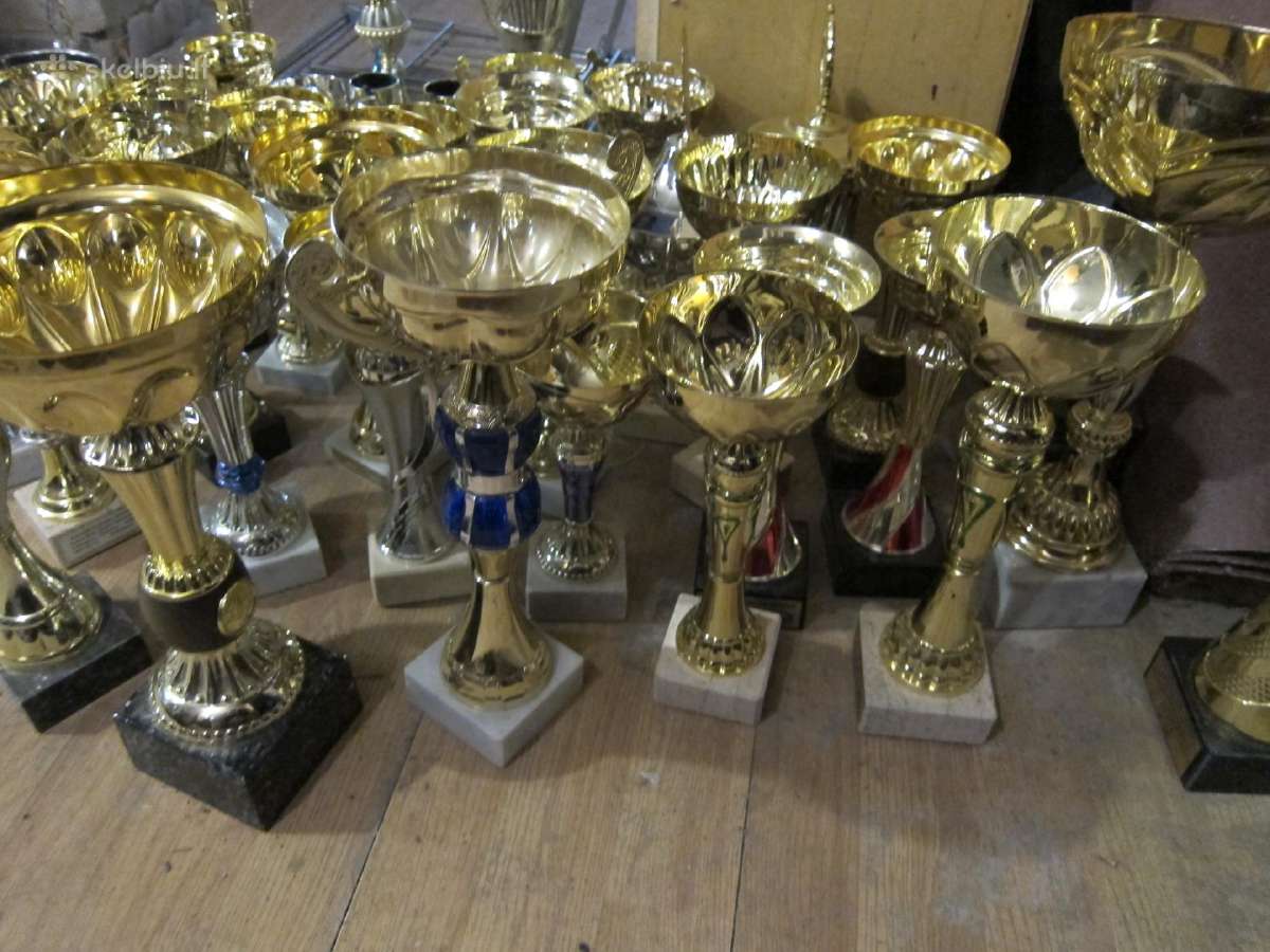 Taures sporto varzybom