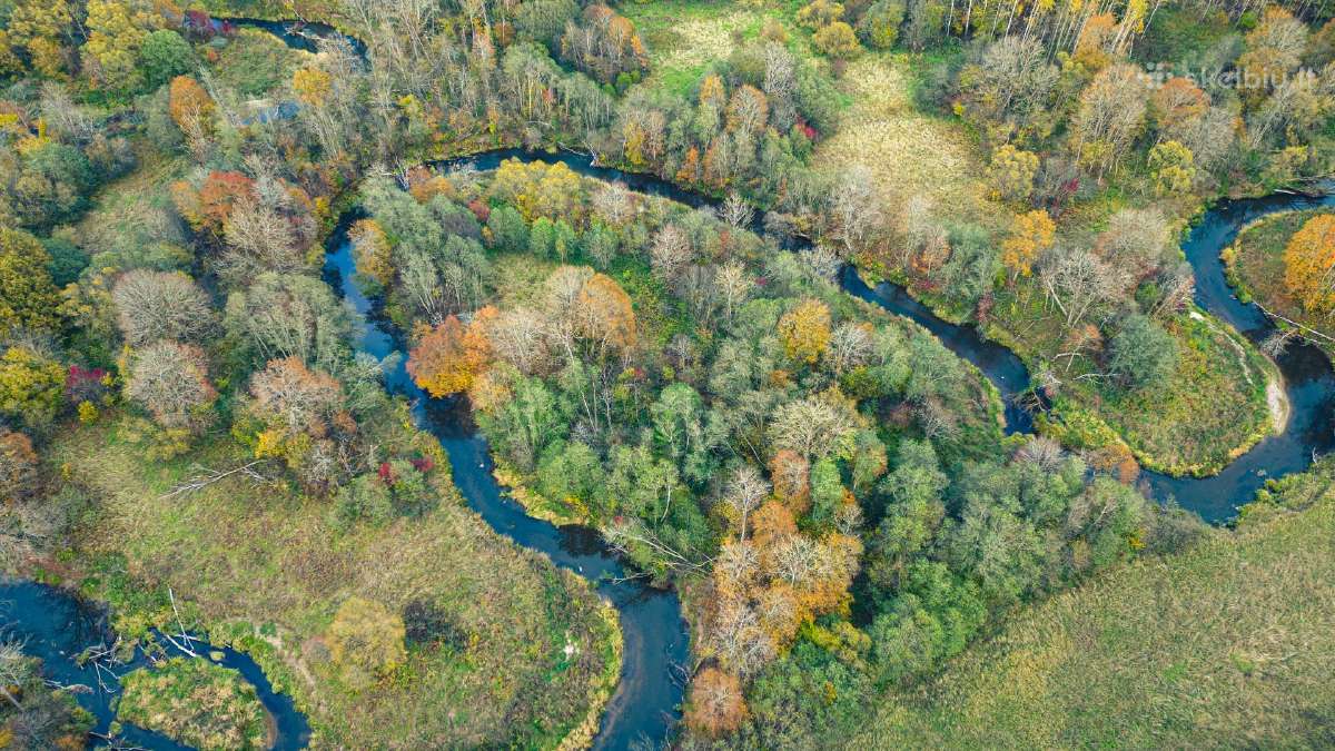 Žemė sodybos atstatymui Šilalės Rajone - nuotraukos Nr. 11