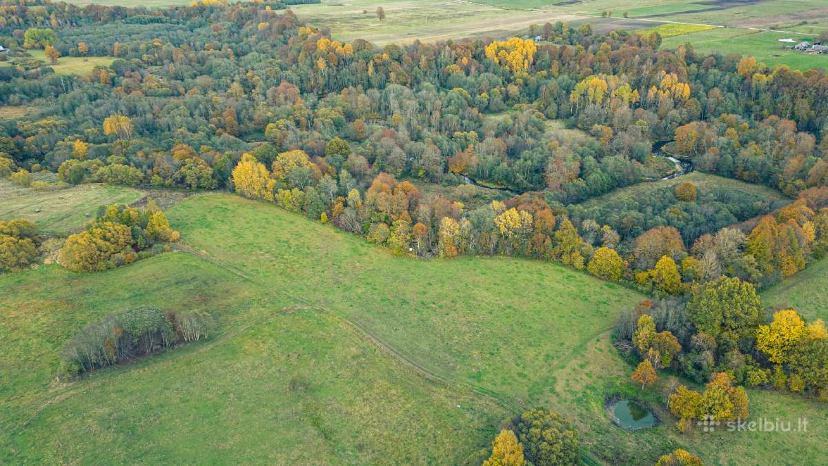 Žemė sodybos atstatymui Šilalės Rajone - nuotraukos Nr. 12