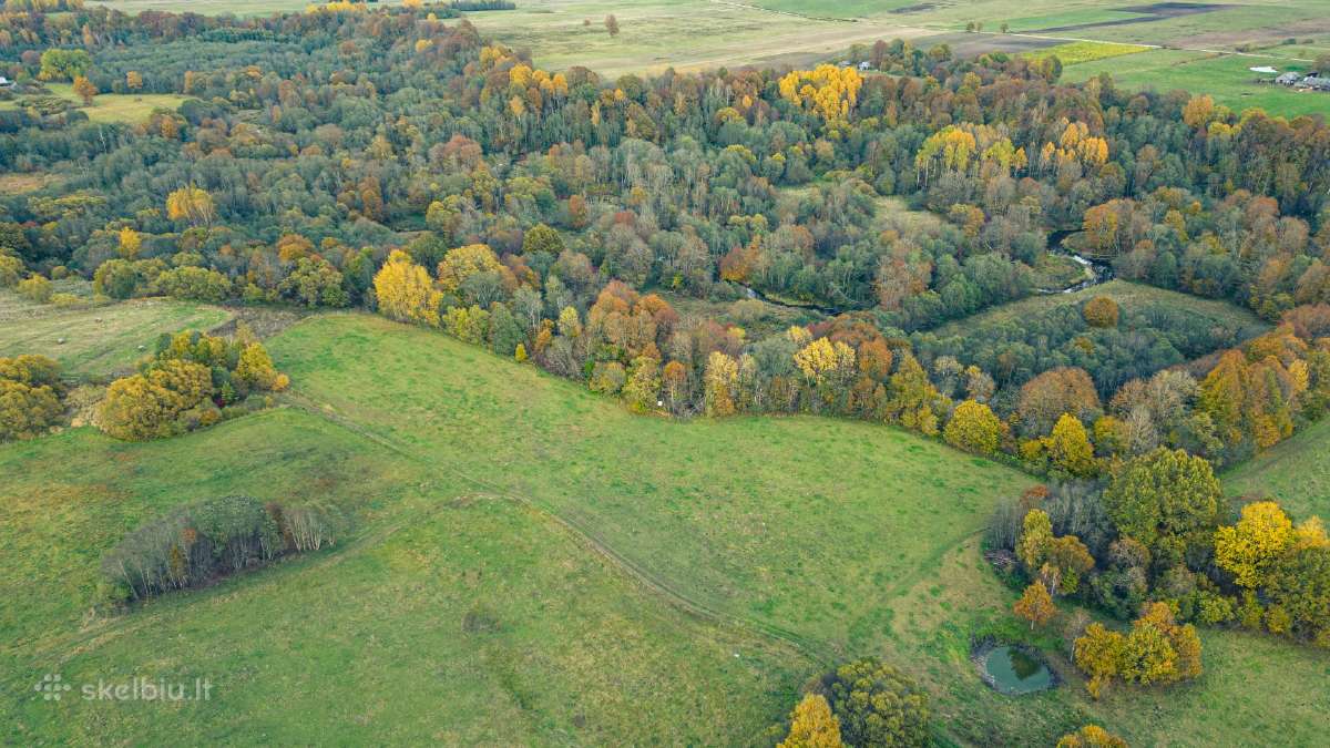 Žemė sodybos atstatymui Šilalės Rajone - nuotraukos Nr. 10