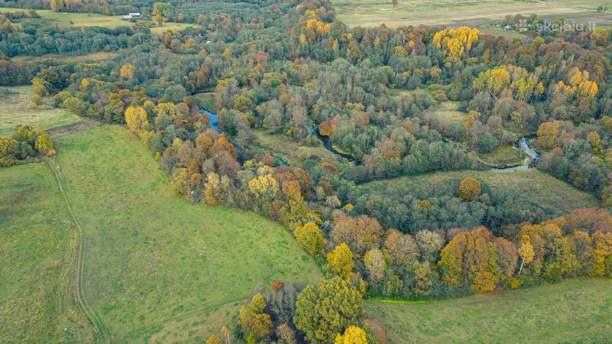 Žemė sodybos atstatymui Šilalės Rajone - nuotraukos Nr. 4