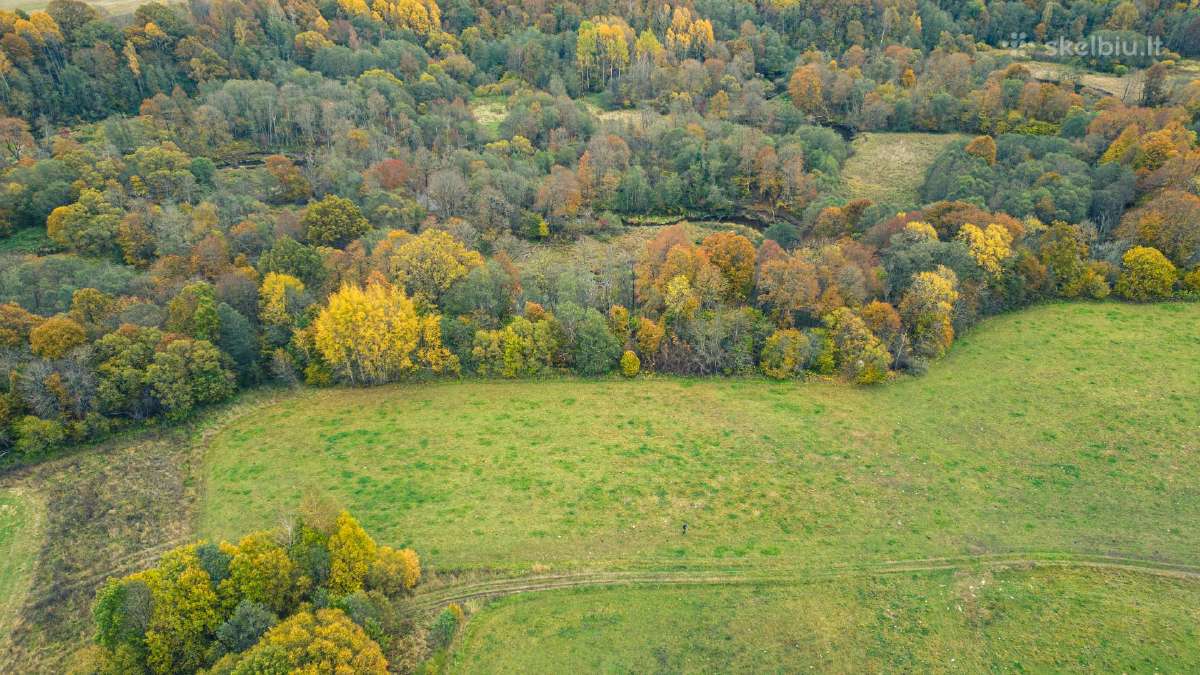 Žemė sodybos atstatymui Šilalės Rajone - nuotraukos Nr. 5