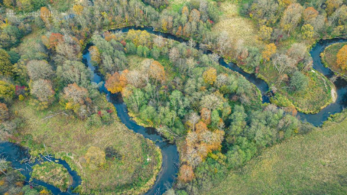Žemė sodybos atstatymui Šilalės Rajone - nuotraukos Nr. 13