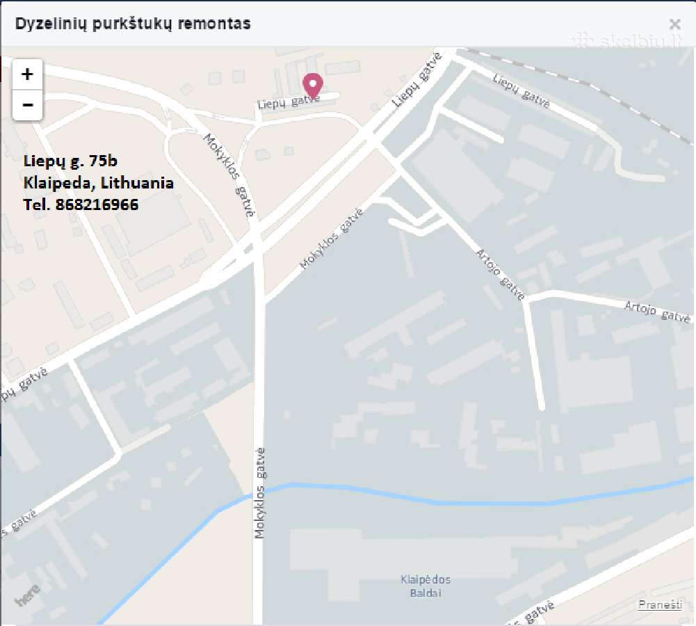 Dyzelinių purkštukų remontas,patikra - nuotraukos Nr. 2