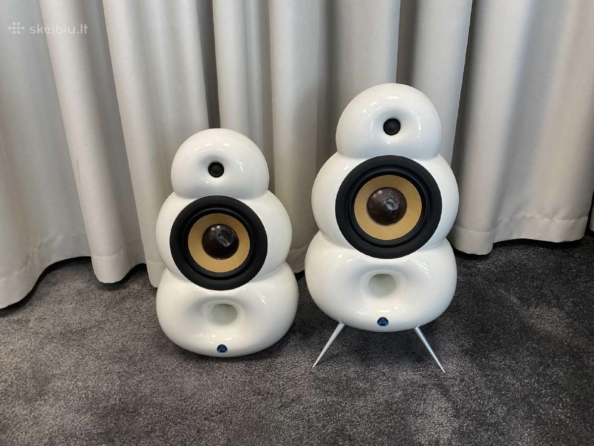 Scandyna Bigpod koloneles