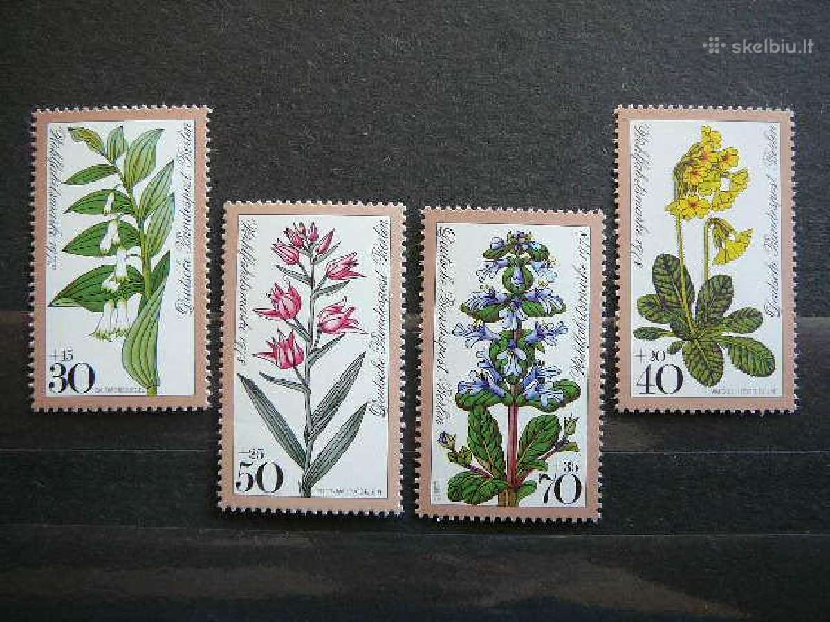 Geles Vokietija (Berlynas) 1978 vb573s