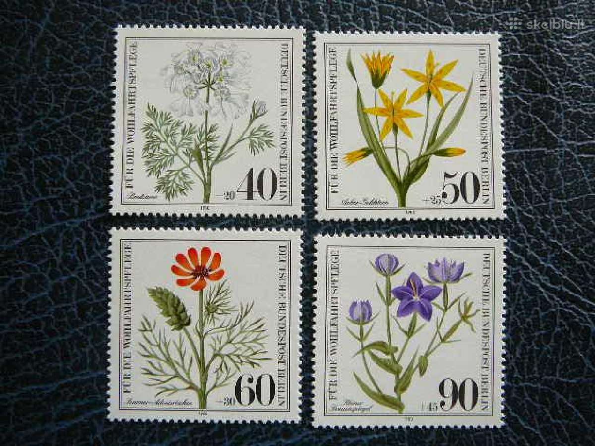 Gėlės Vokietija (Berlynas) 1980 vb629s