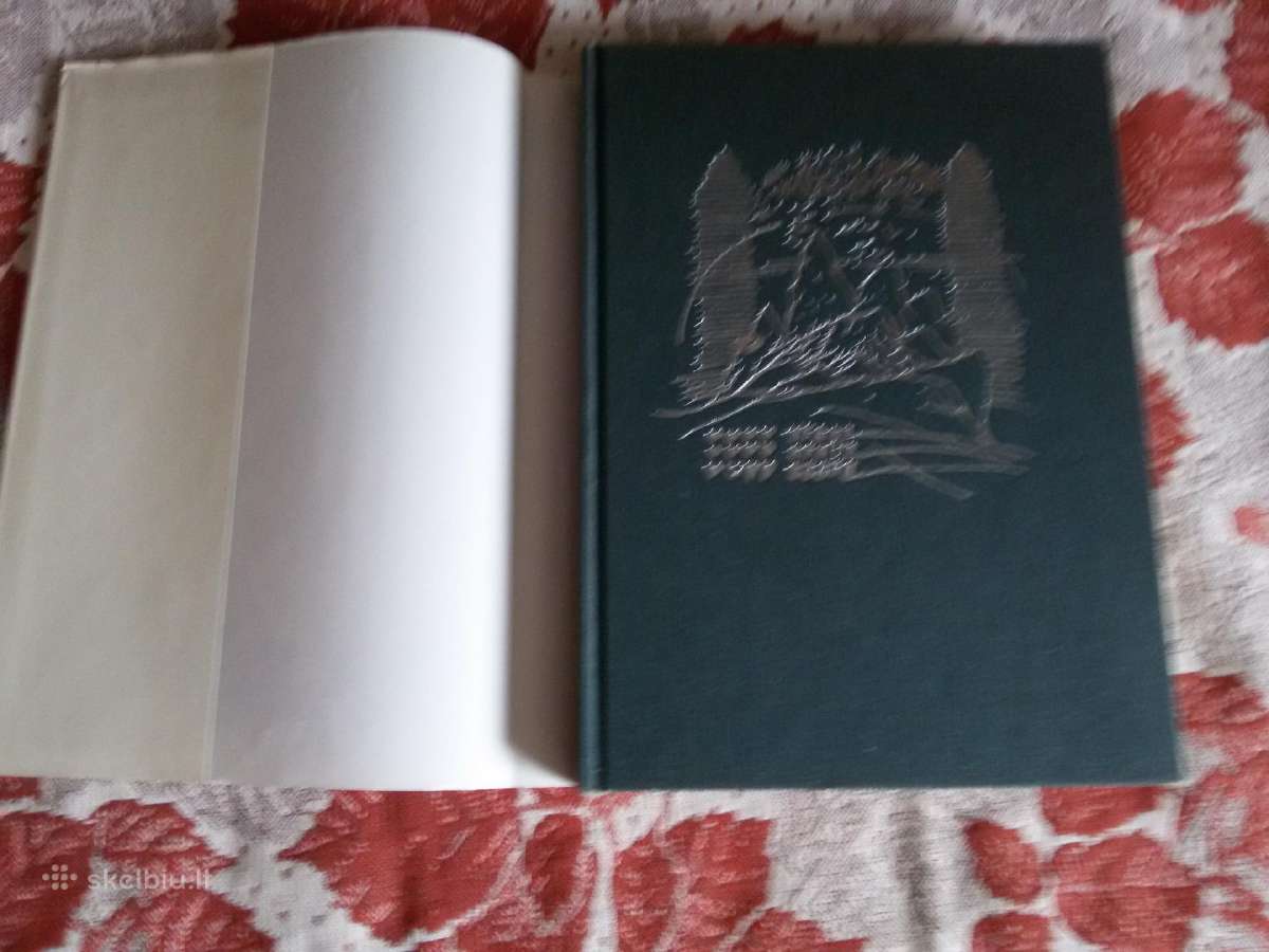 Senų laikų pasakų knygos vaikams rusų kalba - nuotraukos Nr. 9