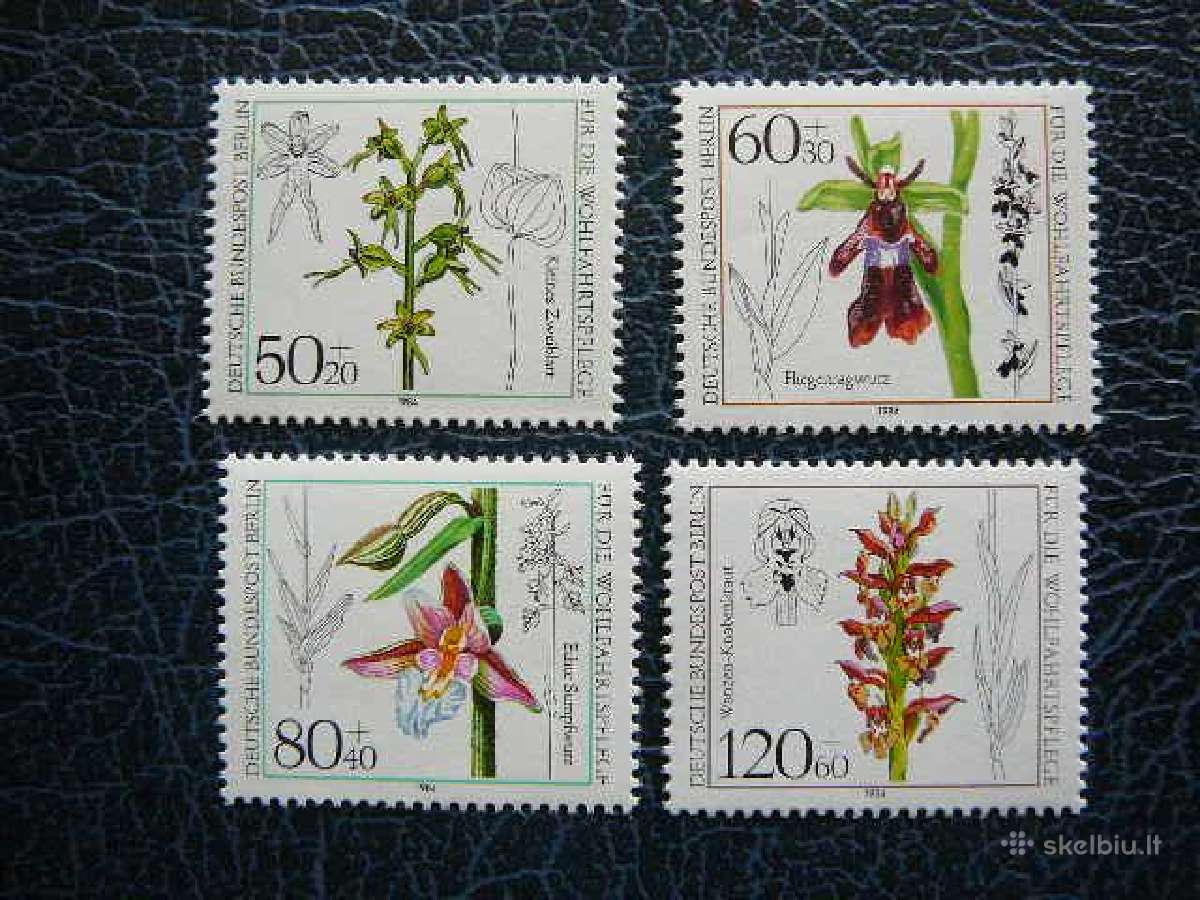 Geles Orchidejos Vokietija (Berlynas) 1984 vb724s
