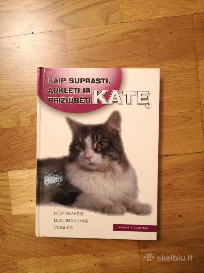 Kaip suprasti, auklėti ir prižiūrėti katę