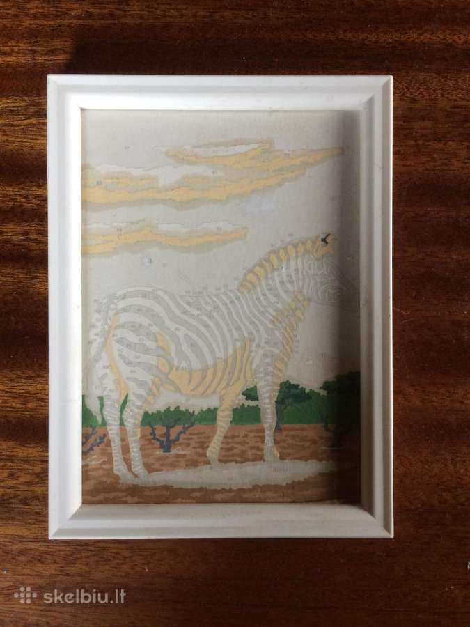 Paveikslelis , Zebras, akvarele