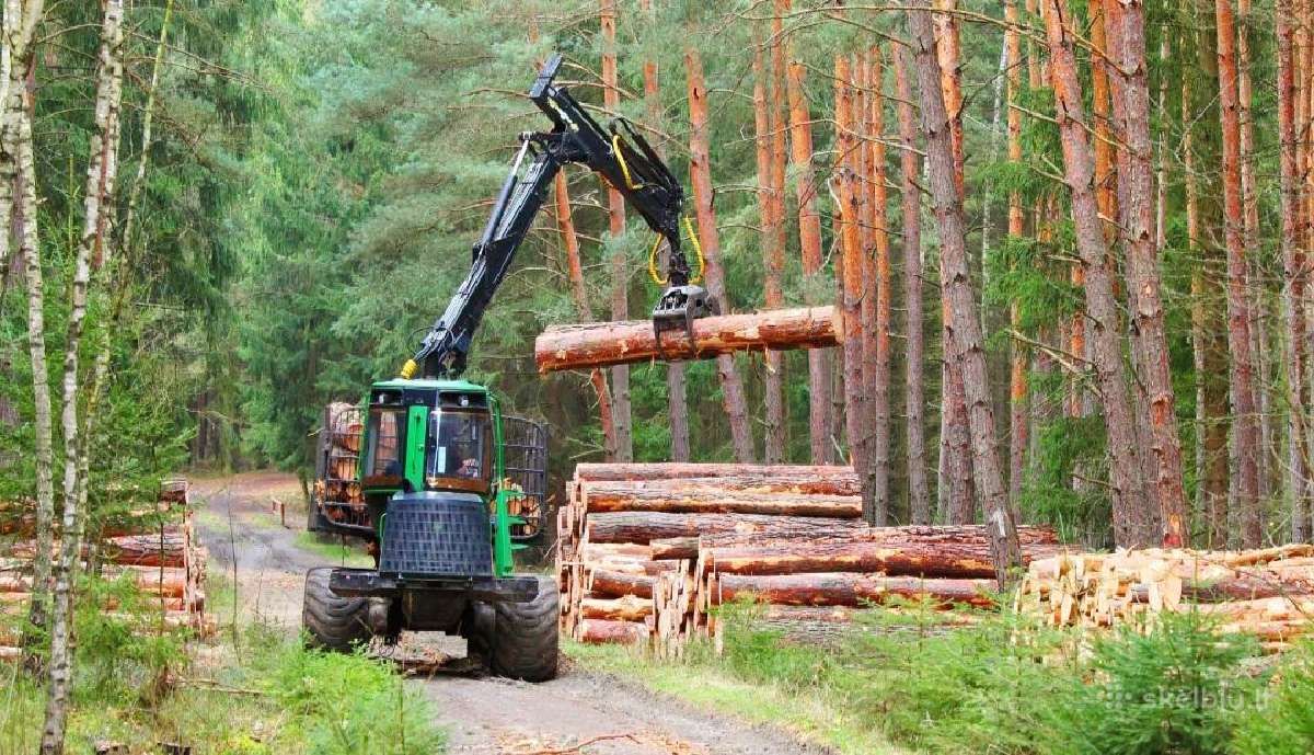 Sunkvežimių ekskavatorių vilkiku remontas - nuotraukos Nr. 2