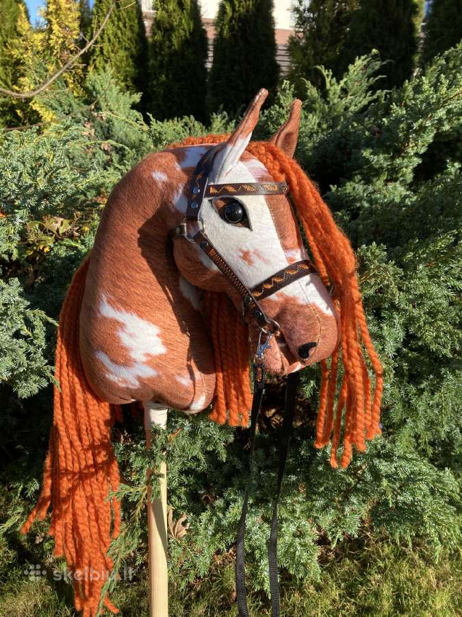 Hobby Horsing Arkliukai - nuotraukos Nr. 11