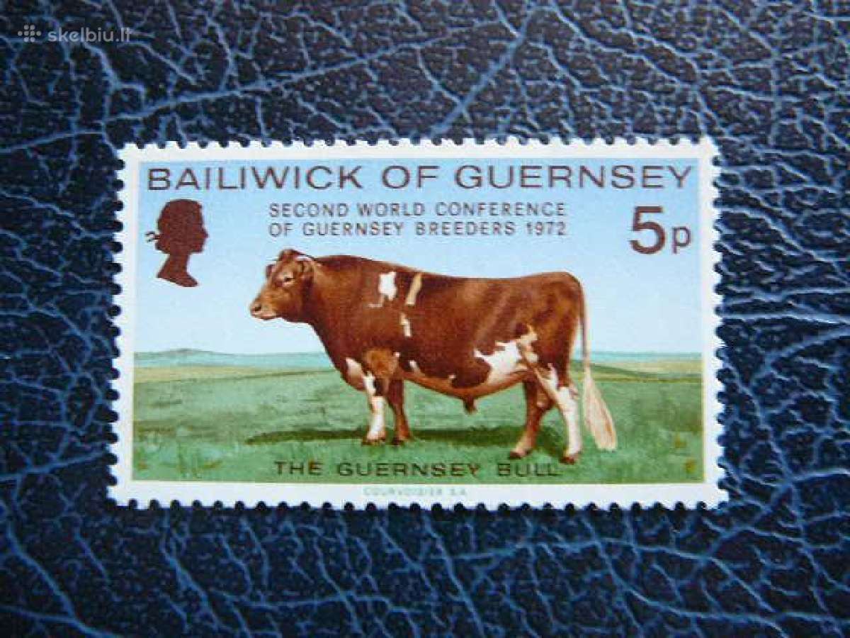 Naminiai gyvuliai Guernsey (UK) 1972 grs66