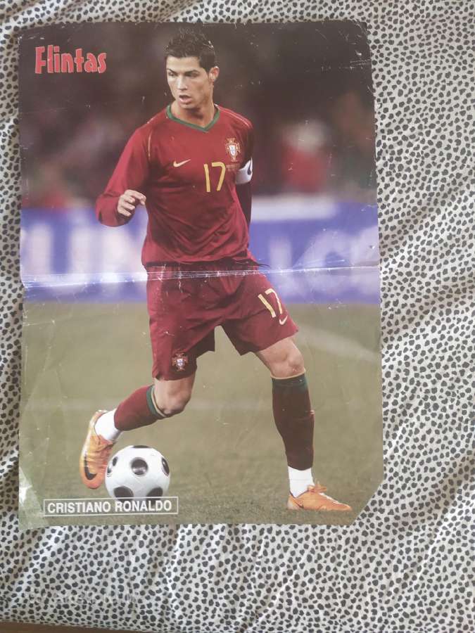 Įvairūs Flinto ir promo plakatai - nuotraukos Nr. 5