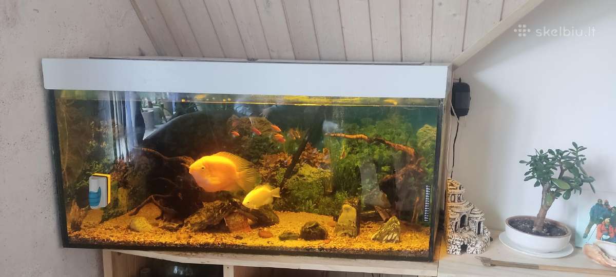 400l akvariumas - Skelbiu.lt