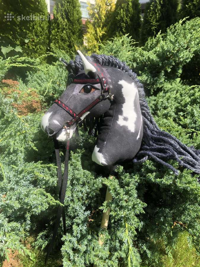 Hobby Horsing Arkliukai - nuotraukos Nr. 12