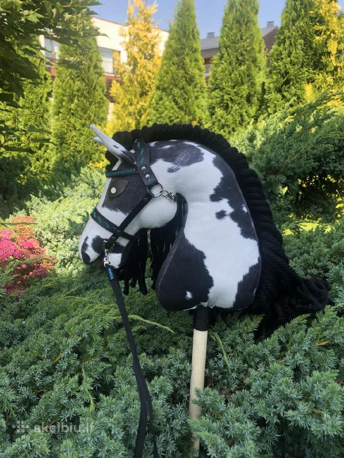 Hobby Horsing Arkliukai - nuotraukos Nr. 13