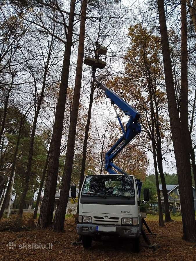 Arboristas. Medžių pjovimas, kelmų naikinimas - nuotraukos Nr. 2
