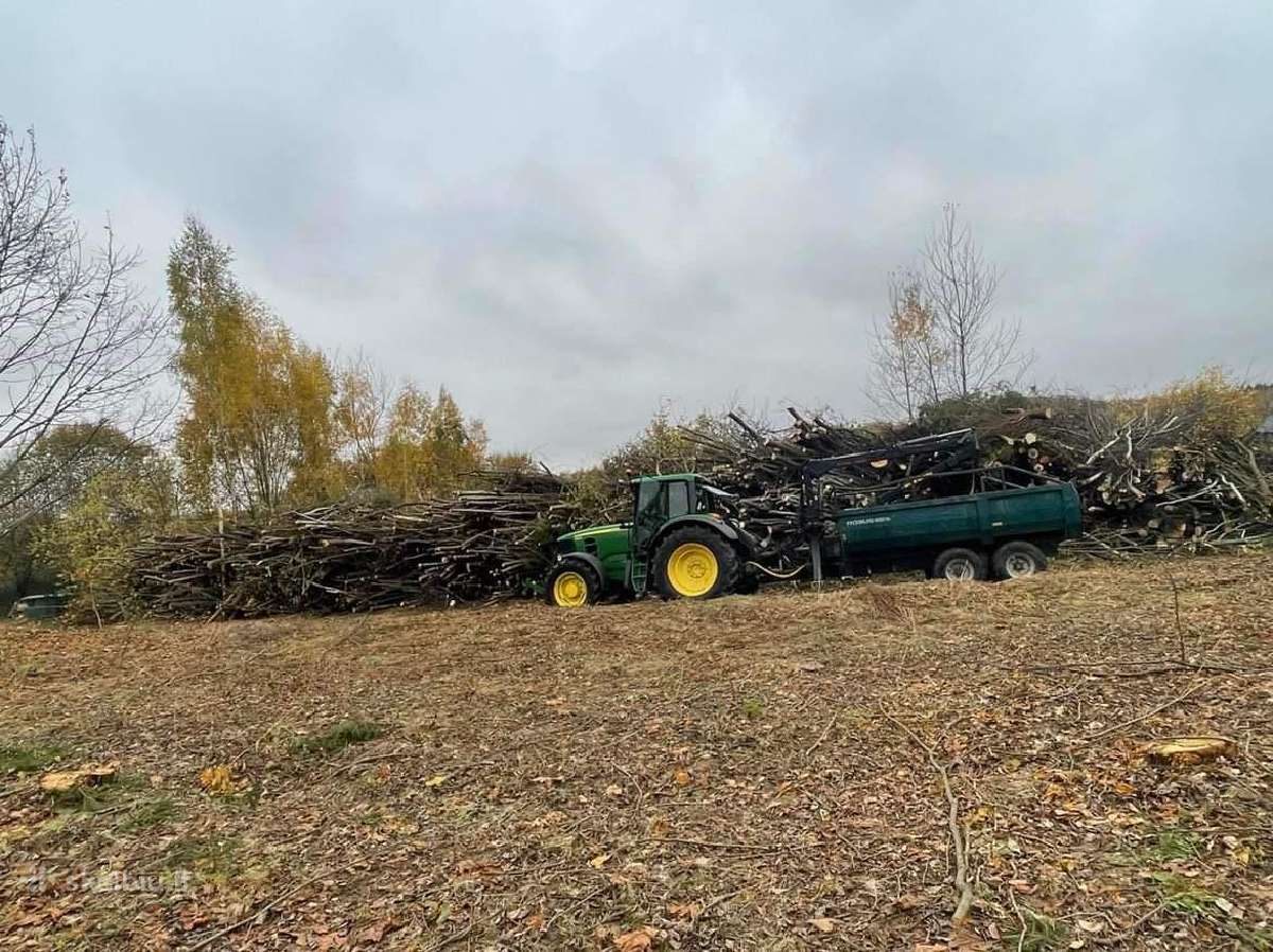 Nemokamas krūmų kirtimas, naikinimas - nuotraukos Nr. 8