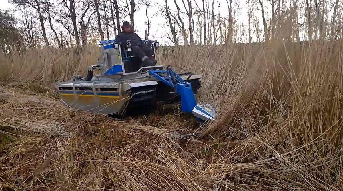 Vandens telkinių pakrančių įrengimas ir tvarkymas - nuotraukos Nr. 2