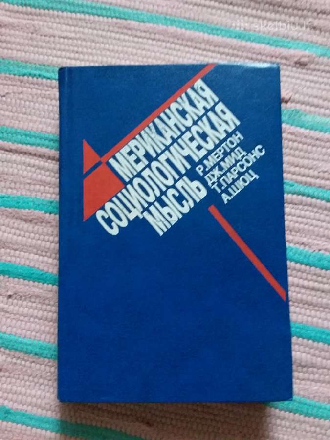 Американская социологическая мысль
