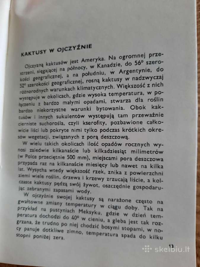 Kaktusy i inne sukulenty (lenkų k.) - nuotraukos Nr. 7