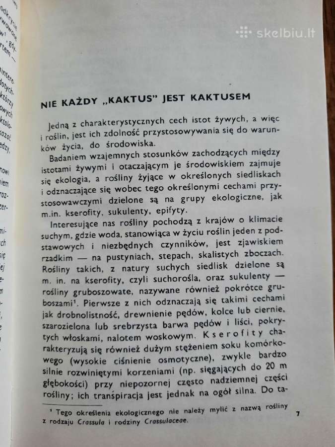 Kaktusy i inne sukulenty (lenkų k.) - nuotraukos Nr. 10