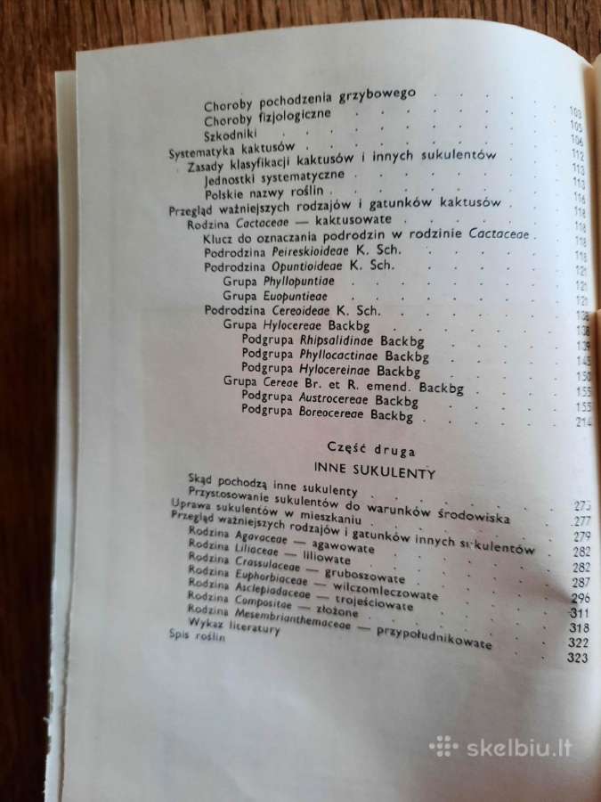 Kaktusy i inne sukulenty (lenkų k.) - nuotraukos Nr. 5