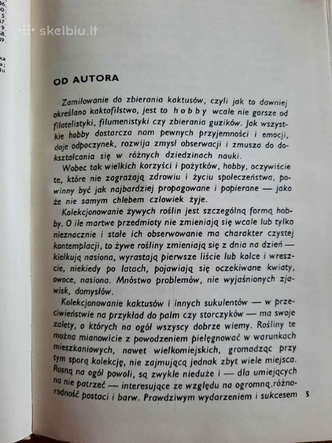 Kaktusy i inne sukulenty (lenkų k.) - nuotraukos Nr. 12