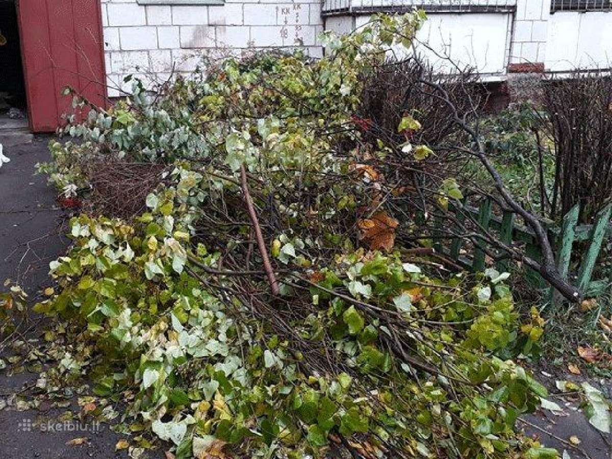 Statybinių atliekų utilizavimas gera kaina Vilniuj - nuotraukos Nr. 5