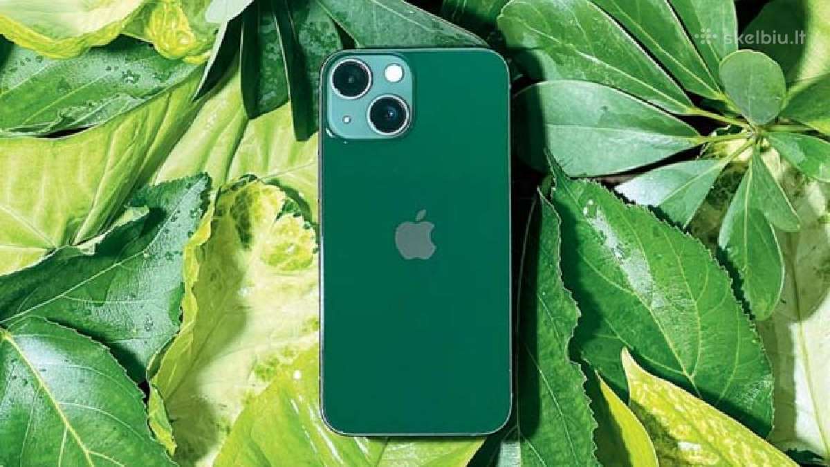 iPhone 13