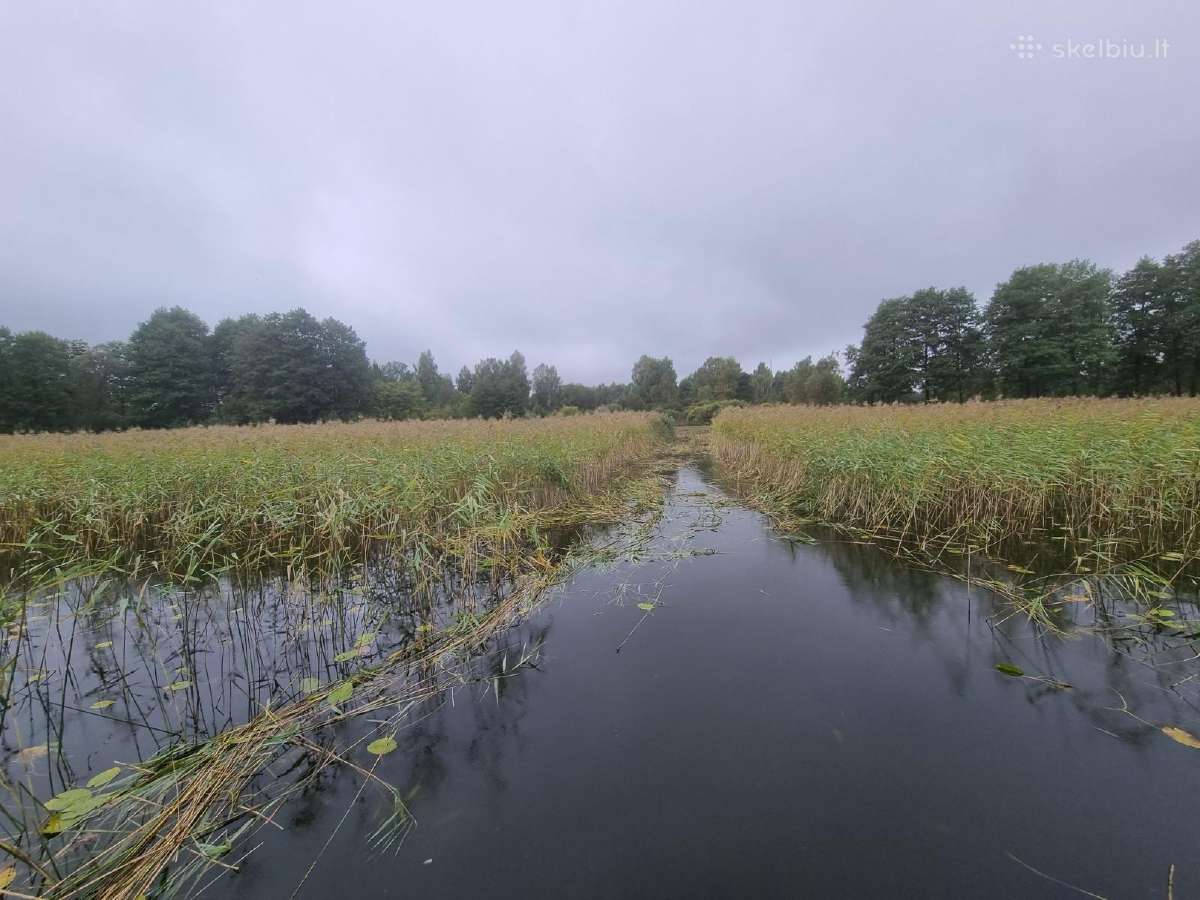 Nendrių, meldų ir kitos vandens augalijos pjovimas - nuotraukos Nr. 20