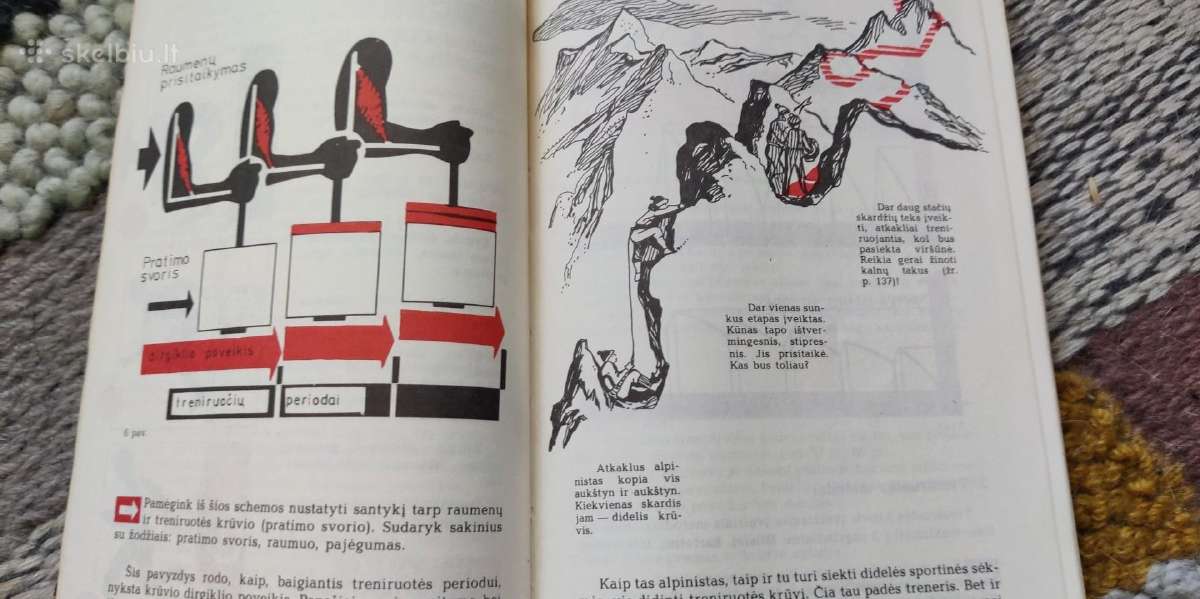 Knyga sportuojančiam - nuotraukos Nr. 3