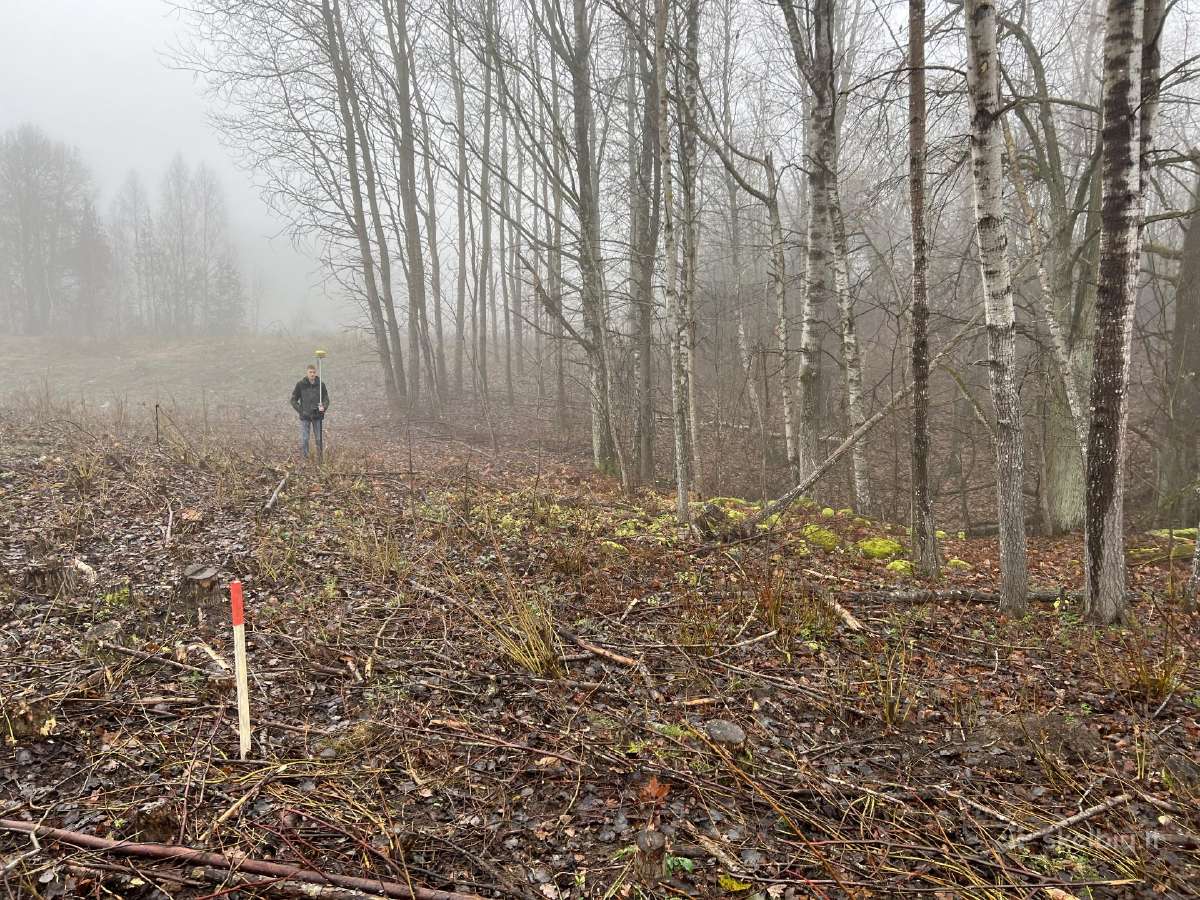 Apleistų sklypų tvarkymas,brangiai perkame biokurą - nuotraukos Nr. 7