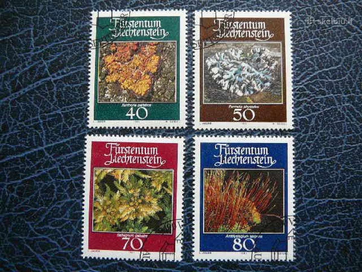 Samanos Kerpes Lichtensteinas 1981 lc776