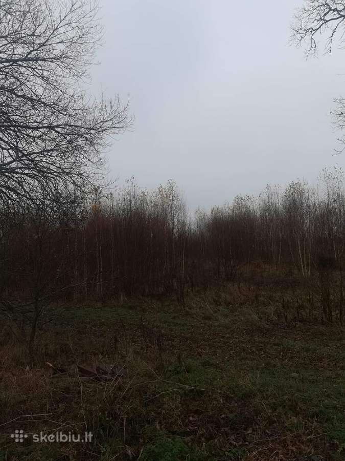 Sklypų valymas,šakų smulkinimas,žolės pjovimas. - nuotraukos Nr. 6