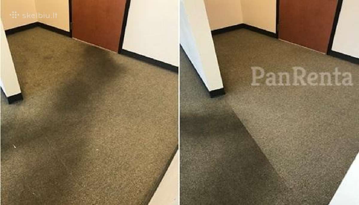 Plaunančio siurblio nuoma naujausi modeliai - nuotraukos Nr. 20