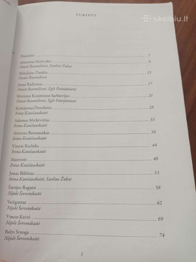 Lietuvių literatūros konspektas abiturientui - nuotraukos Nr. 2