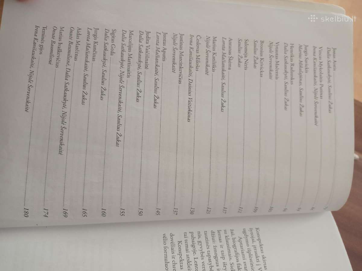 Lietuvių literatūros konspektas abiturientui - nuotraukos Nr. 3