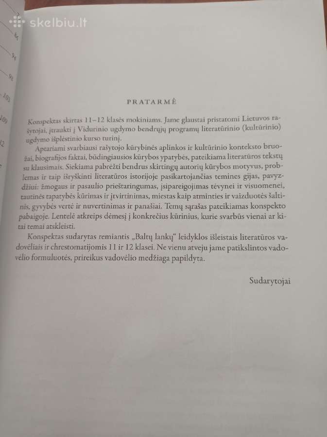 Lietuvių literatūros konspektas abiturientui - nuotraukos Nr. 4
