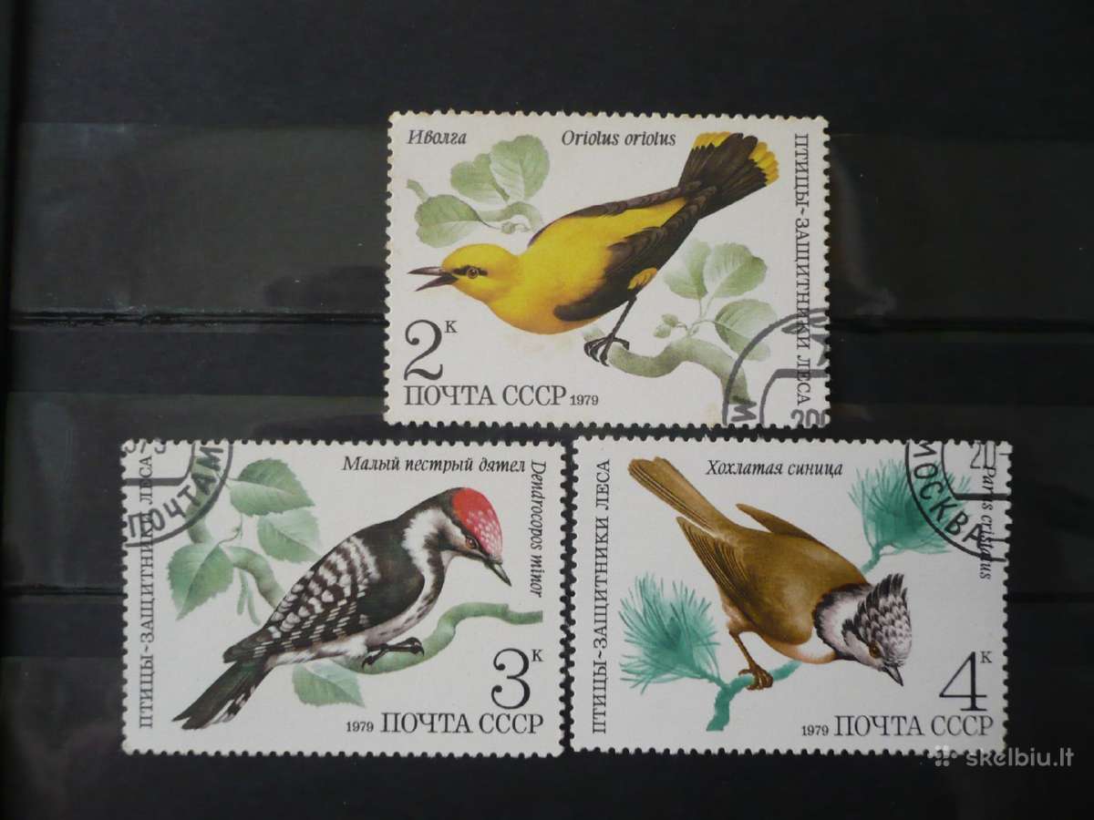 1979 Paukščiai