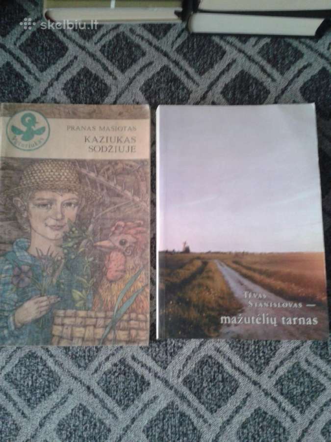 Grožinė literatūra, fotografija, knygelės vaikams. - nuotraukos Nr. 7
