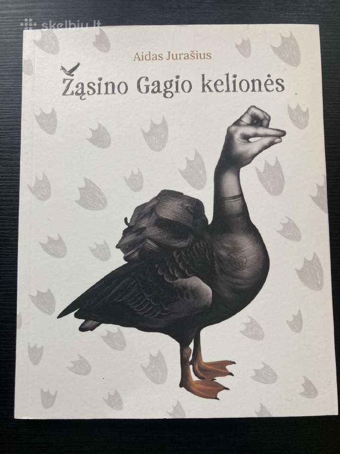 Nauja vaikiška knyga "Žasino Gagio kelionės"