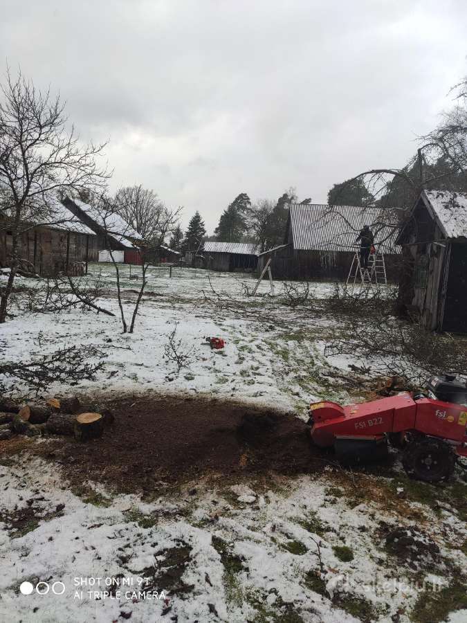 Vaismedžių genėjimas, gyvatvorių karpymas - nuotraukos Nr. 28