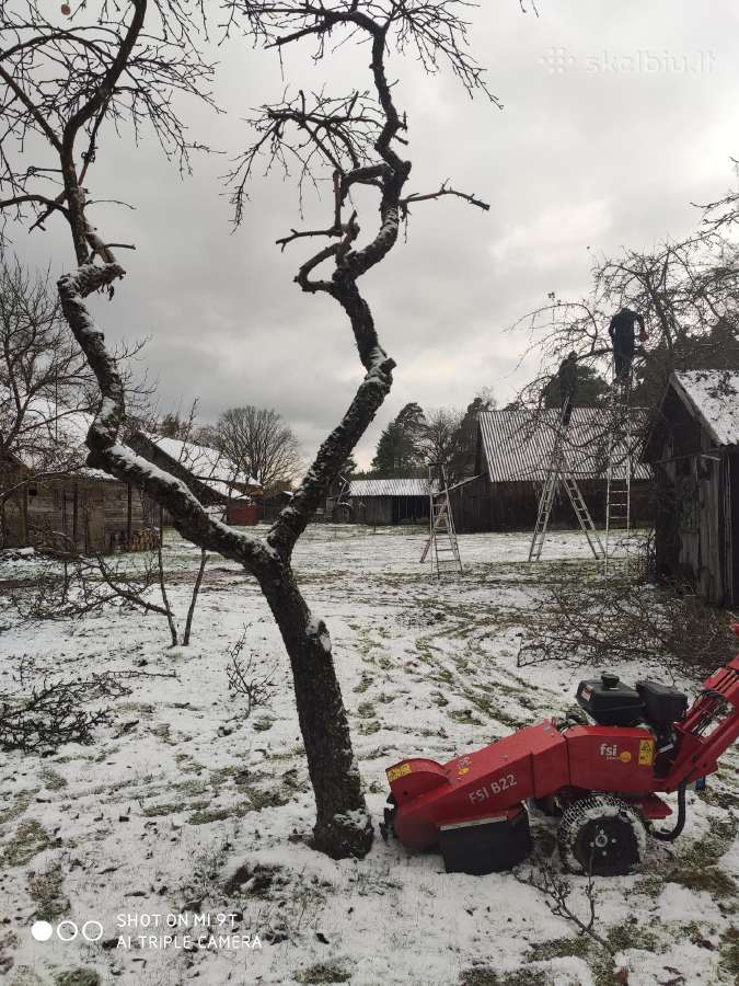 Vaismedžių genėjimas, gyvatvorių karpymas - nuotraukos Nr. 27