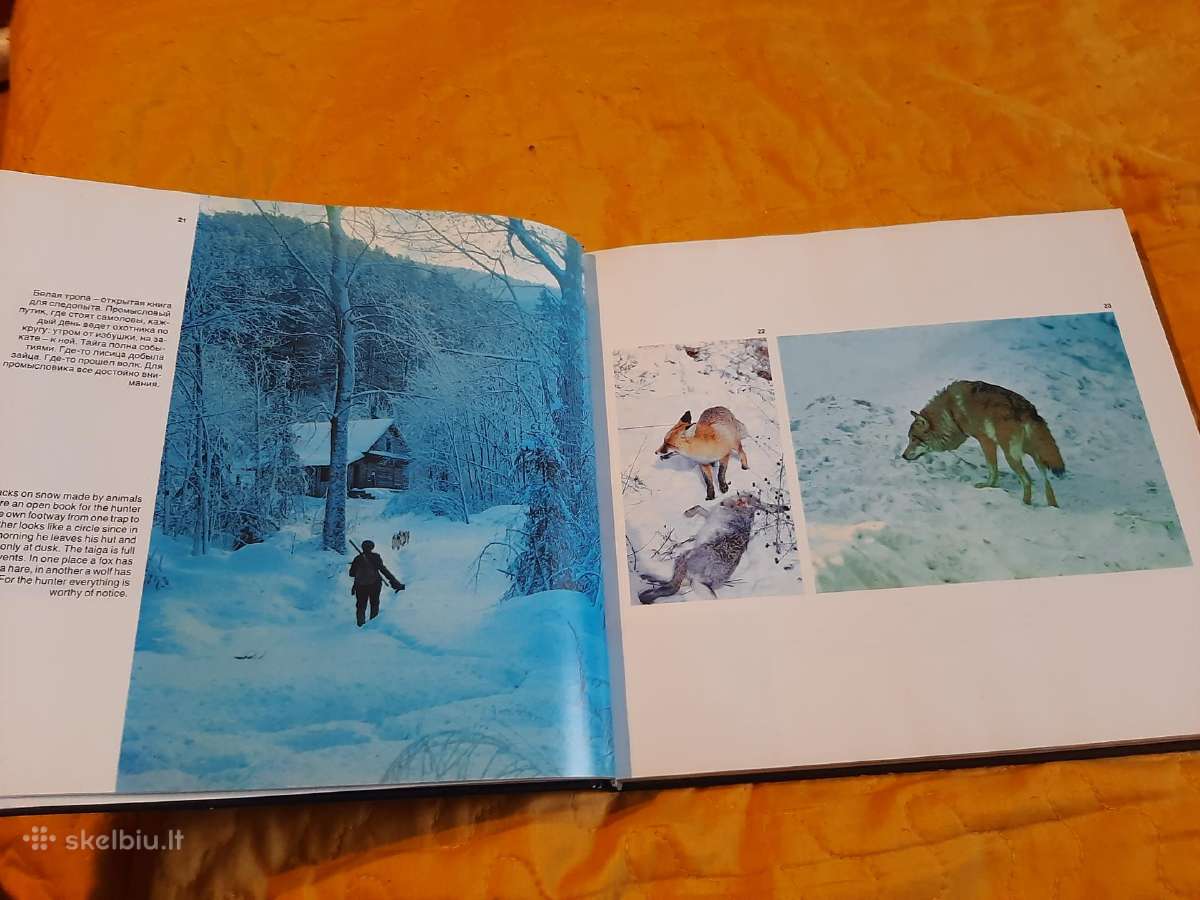 Kailių vaivorykštė - nuotraukos Nr. 5